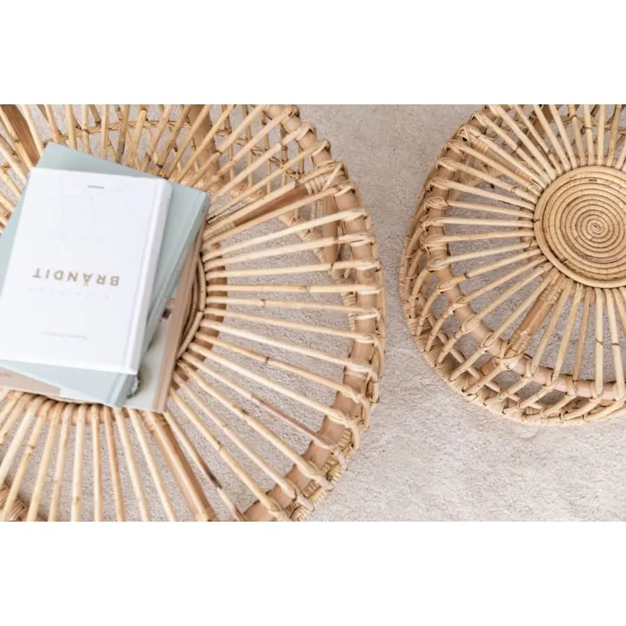 Aina Anna Rottinkipöytä/rahi - Image 2