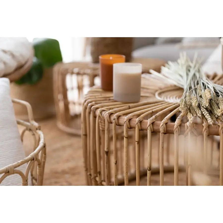 Aina Anna Rottinkipöytä/rahi - Image 4