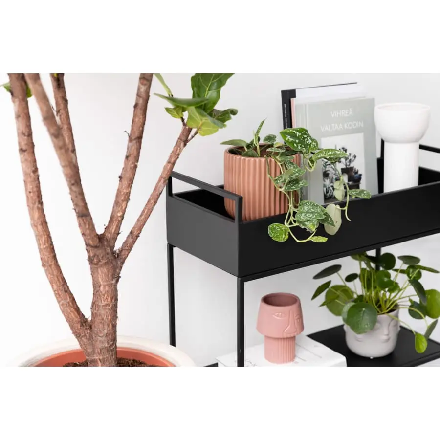 Aina Box Apupöytä - Image 5