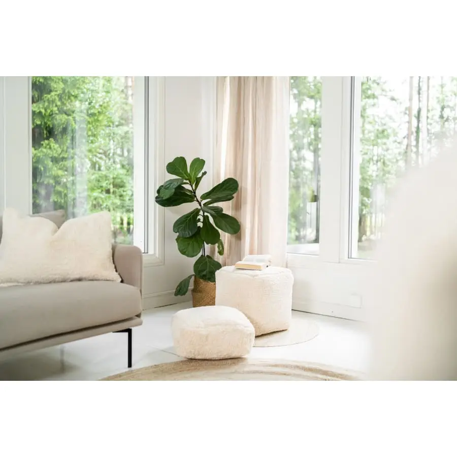 Aina Vilja Rahi - Image 3