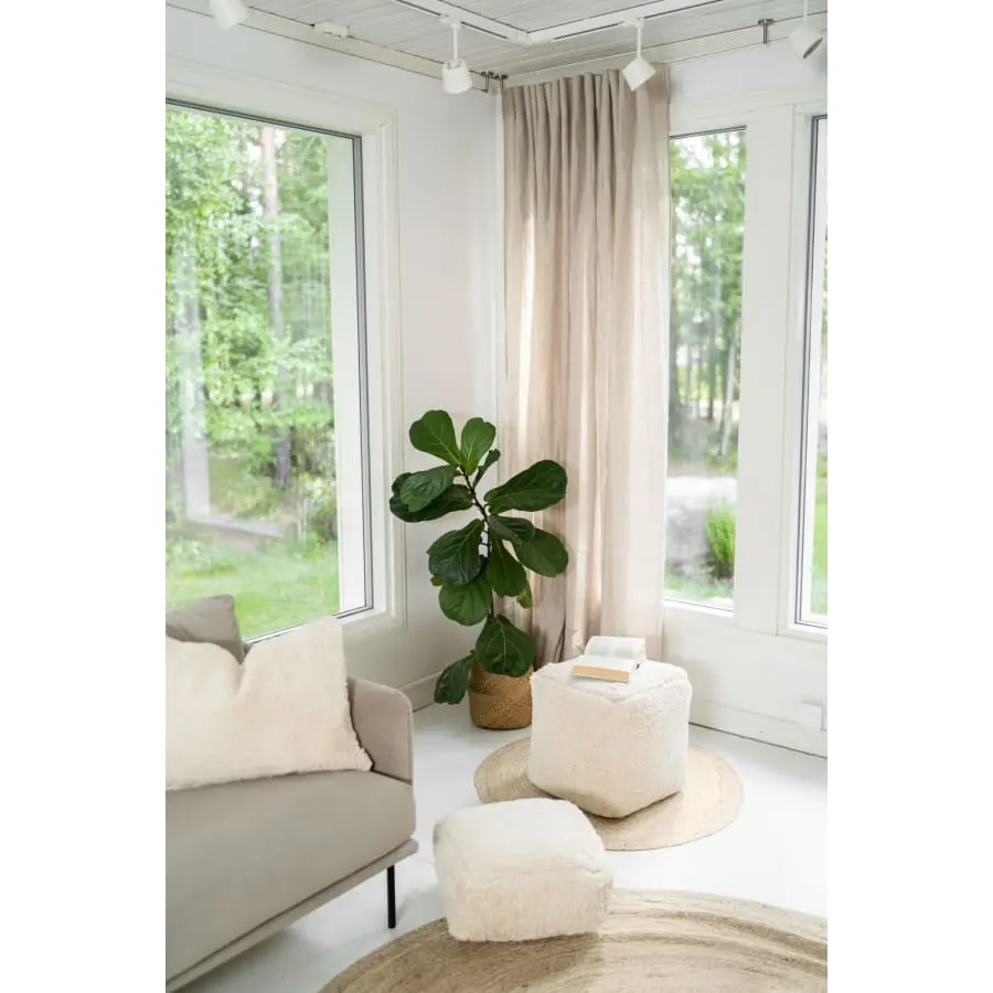 Aina Vilja Rahi - Image 4